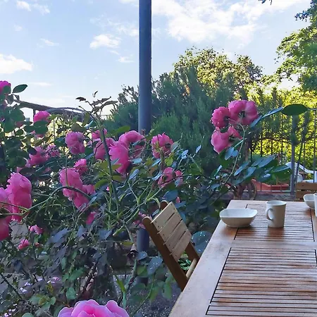 Awesome In Cedri-peccioli With Kitchen Holiday home *